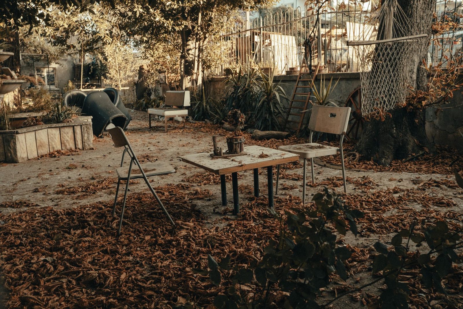 Weathered wooden chairs and a small table sit among fallen leaves in an overgrown, abandoned garden.